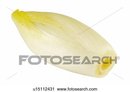 Vegetable, Endive, Leaf, Leaves, One View Large Photo Image Stock Image - Vegetable, Endive, Leaf, Leaves, One. Fotosearch