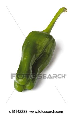 Stock Image - Vegetable, Green, Green colour, Green color, One, Pepper, Green pepper. Fotosearch