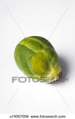 Vegetable, Green, Green colour, Green color, One, Sprout View Large Photo Image Stock Photo - Vegetable, Green, Green colour, Green color, One, Sprout. Fotosearch