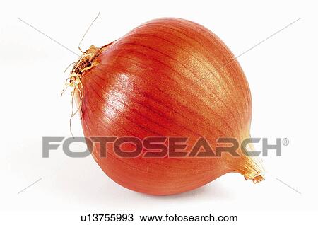 Vegetable, Onion, Orange colour, Orange color, Peel, Skin, Rind View Large Photo Image Stock Image - Vegetable, Onion, Orange colour, Orange color, Peel, Skin, Rind. Fotosearch
