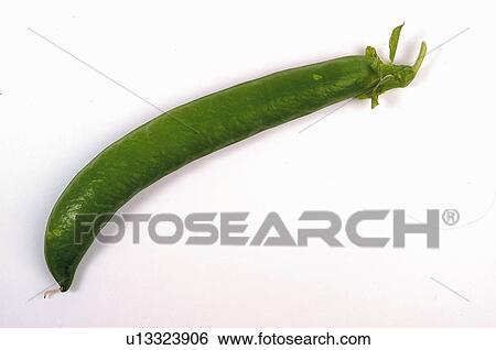 Vegetable, Pea, Peas, Green, One View Large Photo Image Stock Photograph - Vegetable, Pea, Peas, Green, One. Fotosearch
