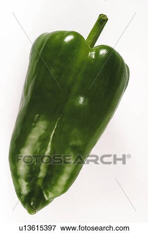 Vegetable, Pepper, Green, Green pepper, One, Bright, Brillant View Large Photo Image Stock Photo - Vegetable, Pepper, Green, Green pepper, One, Bright, Brillant. Fotosearch