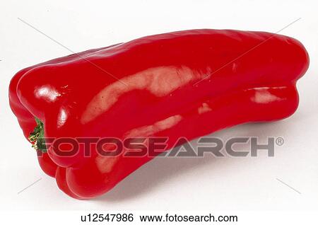 Vegetable, Pepper, Red, Red pepper, One, Bright, Brillant View Large Photo Image Stock Photograph - Vegetable, Pepper, Red, Red pepper, One, Bright, Brillant. Fotosearch