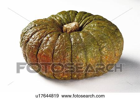 Vegetable, Pumpkin, One, Rough, Green, Brown, Peel View Large Photo Image Stock Photo - Vegetable, Pumpkin, One, Rough, Green, Brown, Peel. Fotosearch