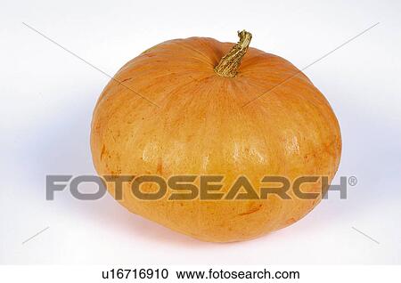 Stock Image - Vegetable, Pumpkin, One, Rough, Orange, Orange color, Orange colour. Fotosearch