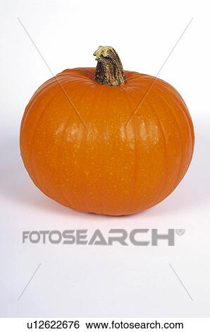 Vegetable, Pumpkin, One, Rough, Orange, Orange color, Orange colour View Large Photo Image Stock Photograph - Vegetable, Pumpkin, One, Rough, Orange, Orange color, Orange colour. Fotosearch