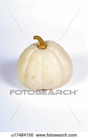 Vegetable, Pumpkin, One, Rough, White, Peel, Skin View Large Photo Image Stock Image - Vegetable, Pumpkin, One, Rough, White, Peel, Skin. Fotosearch
