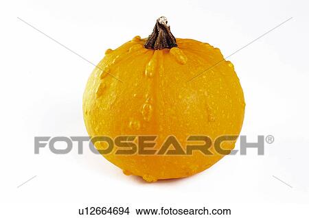 Vegetable, Pumpkin, One, Rough, Yellow, Peel, Skin View Large Photo Image Picture - Vegetable, Pumpkin, One, Rough, Yellow, Peel, Skin. Fotosearch