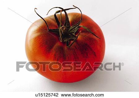 Vegetable, Tomato, Red, Round, Red tomato, One View Large Photo Image Stock Image - Vegetable, Tomato, Red, Round, Red tomato, One. Fotosearch