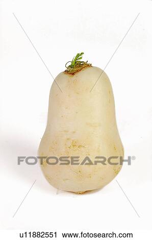 Stock Image - Vegetable, Turnip, White, One. Fotosearch