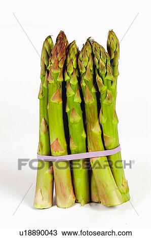 Vegetable, Vegetables, Asparagus, Wild asparagus, Green, Handful, Bunch View Large Photo Image Stock Image - Vegetable, Vegetables, Asparagus, Wild asparagus, Green, Handful, Bunch. Fotosearch