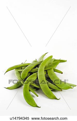 Stock Photography - Vegetable, Vegetables, Bean, Beans, Green, Green bean, Green beans. Fotosearch