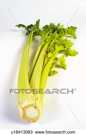 Stock Image - Vegetable, Vegetables, Celery, Stem, Stalk. Fotosearch