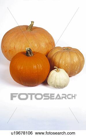 Vegetable, Vegetables, Pumpkin, Pumpkins, Various, Rough, Peel View Large Photo Image Stock Photograph - Vegetable, Vegetables, Pumpkin, Pumpkins, Various, Rough, Peel. Fotosearch