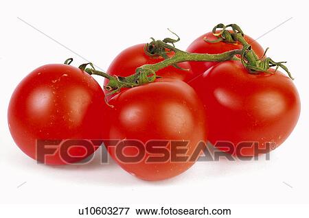 Vegetable, Vegetables, Tomato, Tomatos, Red, Round, Red tomato View Large Photo Image Stock Photo - Vegetable, Vegetables, Tomato, Tomatos, Red, Round, Red tomato. Fotosearch