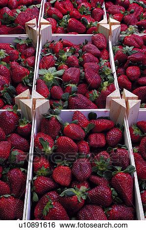 Stock Photograph - Supermarket, Food, Fruit, Fruits, Strawberry, Strawberries. Fotosearch
