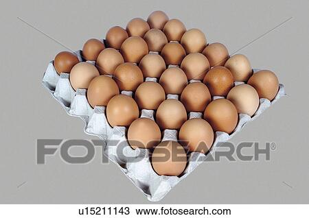 Supermarket, Food, Tray, Egg, Eggs, Box of eggs, Eggshell View Large Photo Image Stock Image - Supermarket, Food, Tray, Egg, Eggs, Box of eggs, Eggshell. Fotosearch
