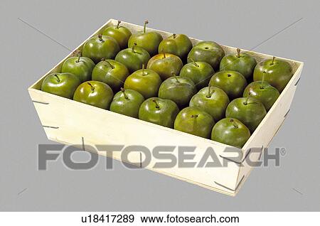 Stock Photo - Supermarket, Food, Tray, Fruit, Fruits, Plum, Plums. Fotosearch