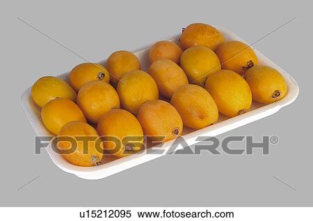 Supermarket, Food, Tray, Fruit, Fruits, Medlar, Medlars View Large Photo Image Stock Photography - Supermarket, Food, Tray, Fruit, Fruits, Medlar, Medlars. Fotosearch