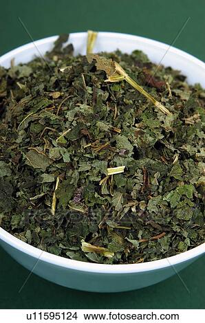 Herb, Herbs, Health, Infusion, Infusions, Herbalist, Medicinal herbs View Large Photo Image Picture - Herb, Herbs, Health, Infusion, Infusions, Herbalist, Medicinal herbs. Fotosearch