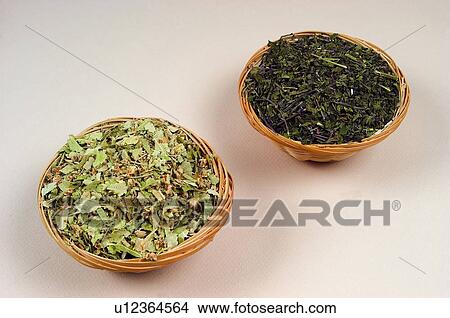 Herb, Herbs, Health, Infusion, Infusions, Herbalist, Medicinal herbs View Large Photo Image Picture - Herb, Herbs, Health, Infusion, Infusions, Herbalist, Medicinal herbs. Fotosearch