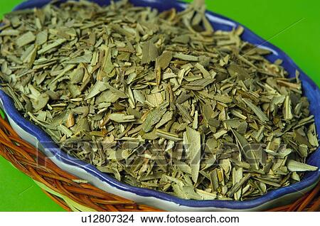 Herb, Herbs, Health, Infusion, Infusions, Herbalist, Medicinal herbs View Large Photo Image Picture - Herb, Herbs, Health, Infusion, Infusions, Herbalist, Medicinal herbs. Fotosearch