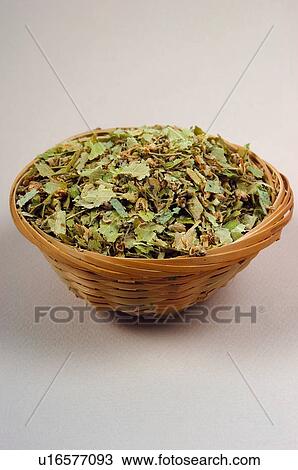 Herb, Herbs, Health, Infusion, Infusions, Herbalist, Medicinal herbs View Large Photo Image Stock Image - Herb, Herbs, Health, Infusion, Infusions, Herbalist, Medicinal herbs. Fotosearch