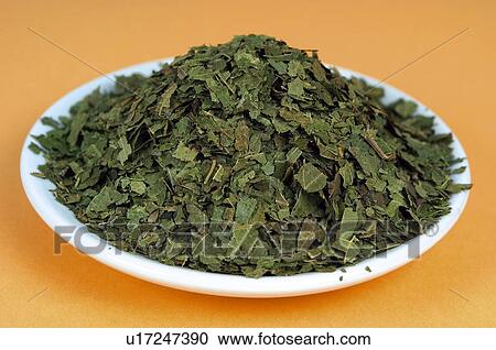 Stock Image - Herb, Herbs, Health, Infusion, Infusions, Herbalist, Medicinal herbs. Fotosearch