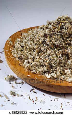 Herb, Herbs, Health, Infusion, Infusions, Herbalist, Medicinal herbs View Large Photo Image Stock Image - Herb, Herbs, Health, Infusion, Infusions, Herbalist, Medicinal herbs. Fotosearch