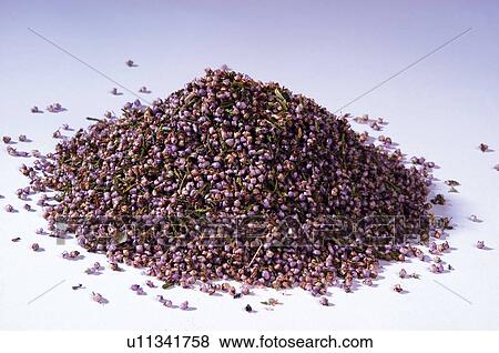 Herb, Herbs, Health, Infusion, Infusions, Herbalist, Medicinal herbs View Large Photo Image Stock Photo - Herb, Herbs, Health, Infusion, Infusions, Herbalist, Medicinal herbs. Fotosearch