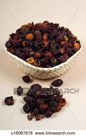 Herb, Herbs, Health, Infusion, Infusions, Herbalist, Medicinal herbs View Large Photo Image Stock Photo - Herb, Herbs, Health, Infusion, Infusions, Herbalist, Medicinal herbs. Fotosearch