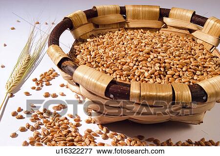 Stock Photo - Herb, Herbs, Health, Infusion, Infusions, Herbalist, Medicinal herbs. Fotosearch