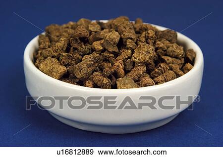 Herb, Herbs, Health, Infusion, Infusions, Herbalist, Medicinal herbs View Large Photo Image Stock Photo - Herb, Herbs, Health, Infusion, Infusions, Herbalist, Medicinal herbs. Fotosearch