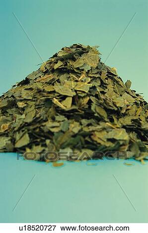 Herb, Herbs, Health, Infusion, Infusions, Herbalist, Medicinal herbs View Large Photo Image Stock Photo - Herb, Herbs, Health, Infusion, Infusions, Herbalist, Medicinal herbs. Fotosearch
