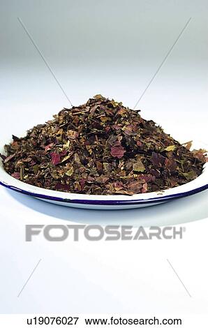 Stock Photo - Herb, Herbs, Health, Infusion, Infusions, Herbalist, Medicinal herbs. Fotosearch