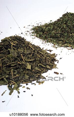 Stock Photograph - Herb, Herbs, Health, Infusion, Infusions, Herbalist, Medicinal herbs. Fotosearch