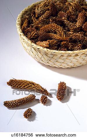 Stock Photograph - Herb, Herbs, Health, Infusion, Infusions, Herbalist, Medicinal herbs. Fotosearch