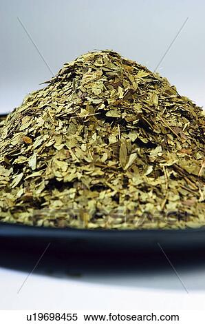 Herb, Herbs, Health, Infusion, Infusions, Herbalist, Medicinal herbs View Large Photo Image Stock Photography - Herb, Herbs, Health, Infusion, Infusions, Herbalist, Medicinal herbs. Fotosearch