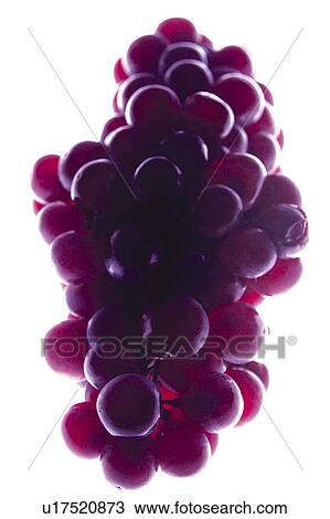 Stock Image - Food, Fruit, Grape, Grapes, Black, Black grapes, Bunch. Fotosearch