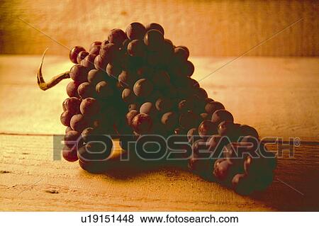 Food, Fruit, Grape, Grapes, Black, Black grapes, Bunch View Large Photo Image Stock Photo - Food, Fruit, Grape, Grapes, Black, Black grapes, Bunch. Fotosearch