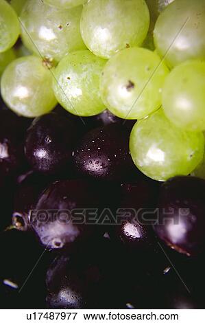 Food, Fruit, Grape, Grapes, White, White grapes, Black View Large Photo Image Stock Photo - Food, Fruit, Grape, Grapes, White, White grapes, Black. Fotosearch