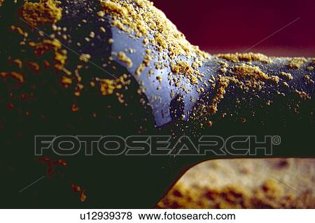 Stock Photo - Wine, Drink, Beverage, Bottle, Bottle of wine, Bottleneck, Red. Fotosearch