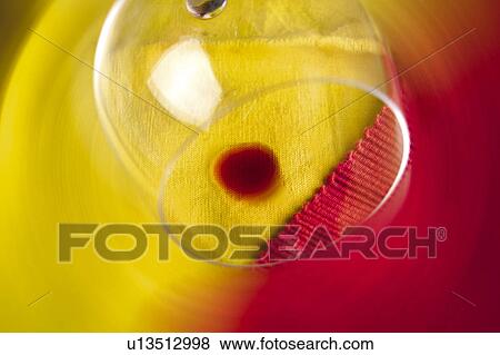 Stock Photo - Wine, Drink, Beverage, Red, Red wine, Glass, Glass of wine. Fotosearch