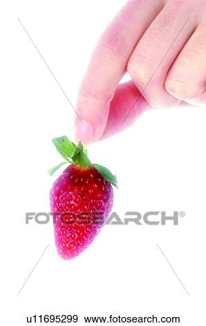 Stock Photo - Fruit, Strawberry, Mouth, Red, Hand, Finger, Catching. Fotosearch