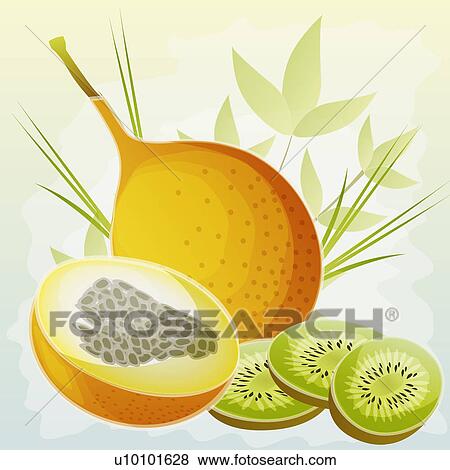 Stock Illustration - Close-up of a fig with kiwi fruit slices. Fotosearch