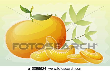 Stock Illustration - Close-up of a whole orange with segments. Fotosearch