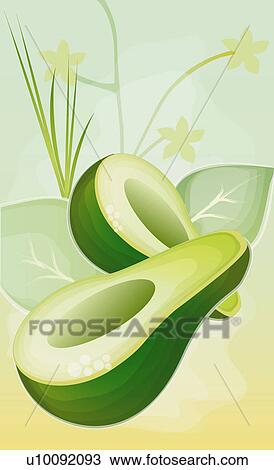 Drawing - Close-up of an avocado. Fotosearch