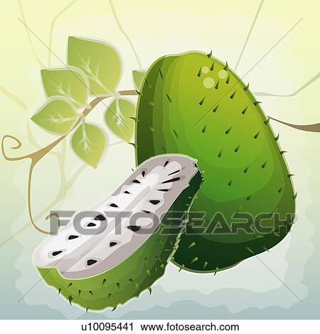 Clip Art - Close-up of jackfruits. Fotosearch