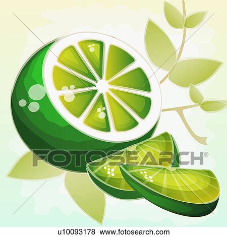 Close-up of lime slices View Large Illustration Stock Illustration - Close-up of lime slices. Fotosearch