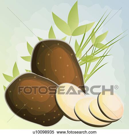 Close-up of taro and slices View Large Illustration Stock Illustration - Close-up of taro and slices. Fotosearch